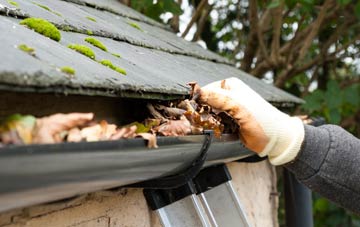 gutter cleaning Craigenhouses, Argyll And Bute